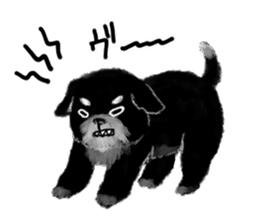 Black puppy "Mill" sticker #6526174