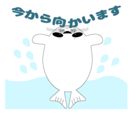 Very cute harbor seal sticker #6527452