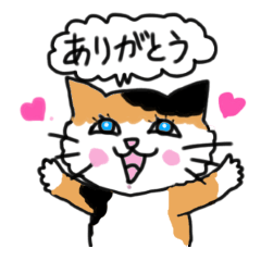 Tortoiseshell cat family and friends