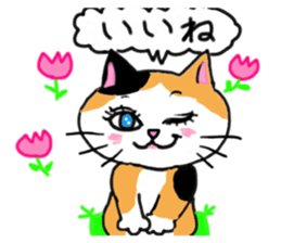 Tortoiseshell cat family and friends sticker #6528993