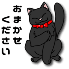 Black cat Sebastian sticker #6531488