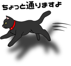 Black cat Sebastian sticker #6531497