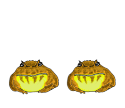 My name is OTAMA KIMURA sticker #6535474