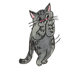 3 CATS CLUB sticker #6536610