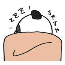 Pao the panda sticker #6539698