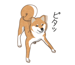 The Shibe Drill sticker #6543105