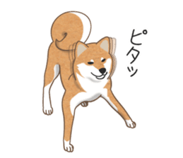 The Shibe Drill sticker #6543105