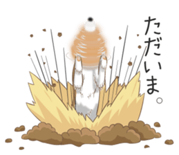 The Shibe Drill sticker #6543107