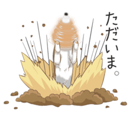 The Shibe Drill sticker #6543107