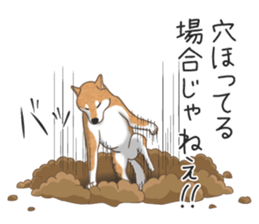 The Shibe Drill sticker #6543108