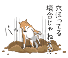 The Shibe Drill sticker #6543108