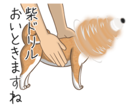 The Shibe Drill sticker #6543112