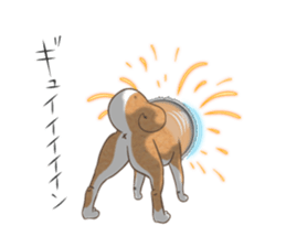 The Shibe Drill sticker #6543118