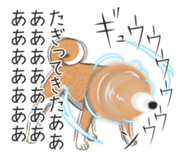 The Shibe Drill sticker #6543120