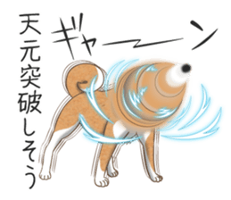 The Shibe Drill sticker #6543121