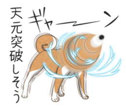 The Shibe Drill sticker #6543121