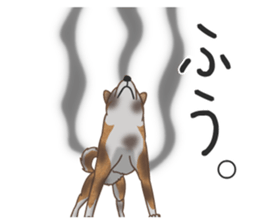 The Shibe Drill sticker #6543123