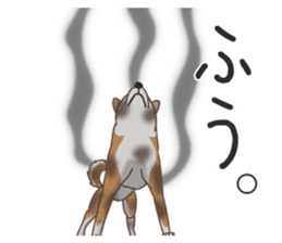 The Shibe Drill sticker #6543123