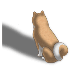 The Shibe Drill sticker #6543124