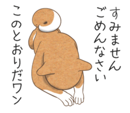 The Shibe Drill sticker #6543126