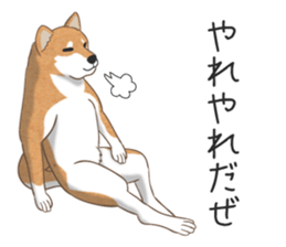 The Shibe Drill sticker #6543127