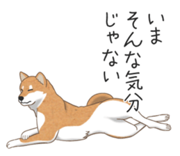 The Shibe Drill sticker #6543128