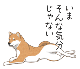 The Shibe Drill sticker #6543128