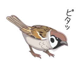 The Shibe Drill sticker #6543133