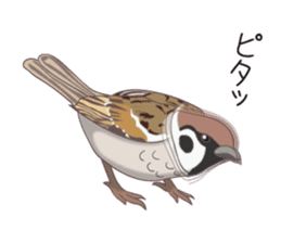 The Shibe Drill sticker #6543133