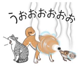 The Shibe Drill sticker #6543134