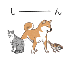 The Shibe Drill sticker #6543135