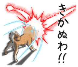 The Shibe Drill sticker #6543142