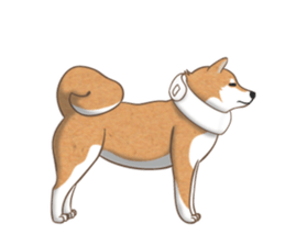 The Shibe Drill sticker #6543143