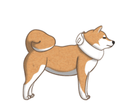 The Shibe Drill sticker #6543143