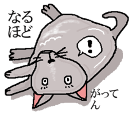 He is  a cat named Gal sticker #6544068