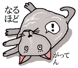 He is a cat named Gal sticker #6544068