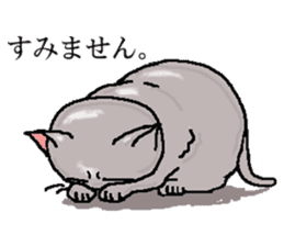 He is a cat named Gal sticker #6544071