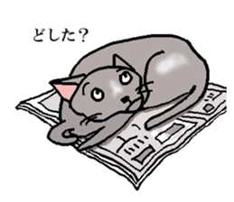 He is  a cat named Gal sticker #6544075