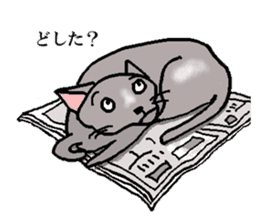 He is a cat named Gal sticker #6544075