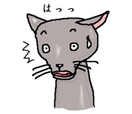 He is a cat named Gal sticker #6544077