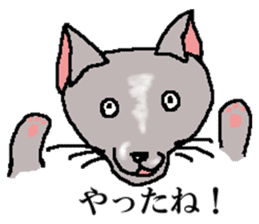 He is a cat named Gal sticker #6544079