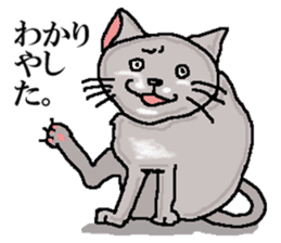 He is a cat named Gal sticker #6544080