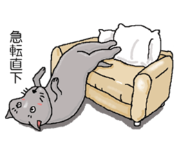 He is  a cat named Gal sticker #6544086