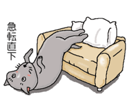 He is a cat named Gal sticker #6544086