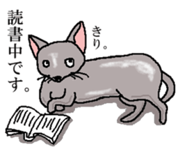 He is  a cat named Gal sticker #6544095