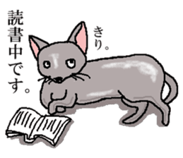 He is a cat named Gal sticker #6544095