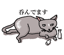 He is  a cat named Gal sticker #6544096