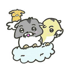 Daily life of the hamster