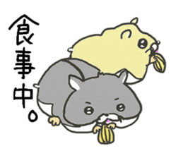Daily life of the hamster sticker #6553042
