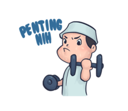 Salman and Nisa sticker #6556432